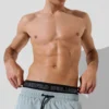 IKON BOARDSHORTS IKON BOARDSHORTS