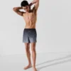 IKON OMBRÉ BOARDSHORTS